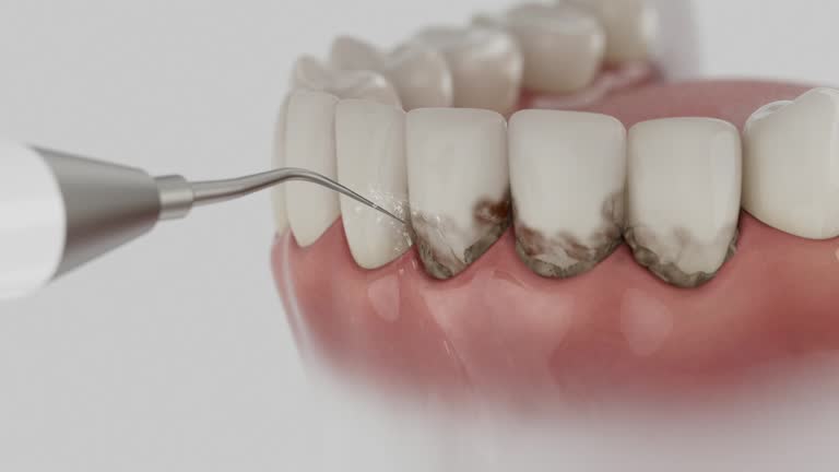 Reliable Dental contractor in Mount Vernon, VA by Dentist Open Now